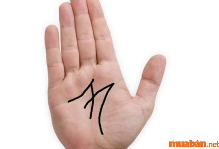 Bàn tay chữ M với chỉ tay ngoằn ngoèo