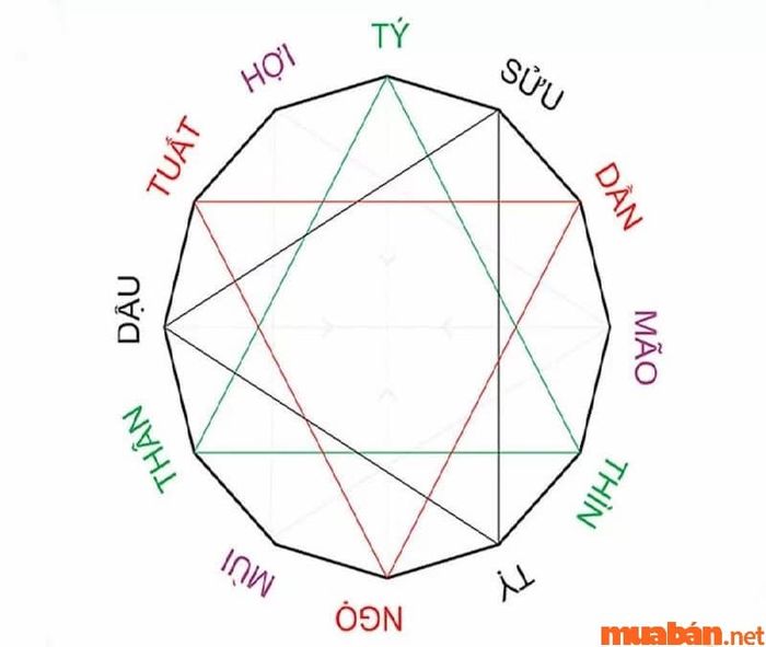 Có tổng cộng 4 bộ tam hợp