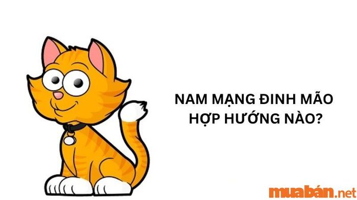 Nam mạng Đinh Mão hợp với những hướng nào?