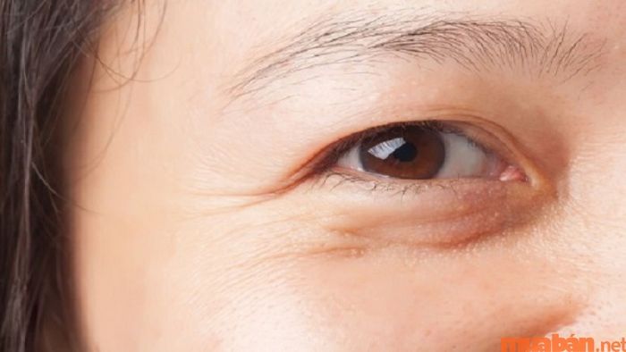 Tính cách của người có đuôi mắt dài, đầy đặn sẽ như thế nào?
