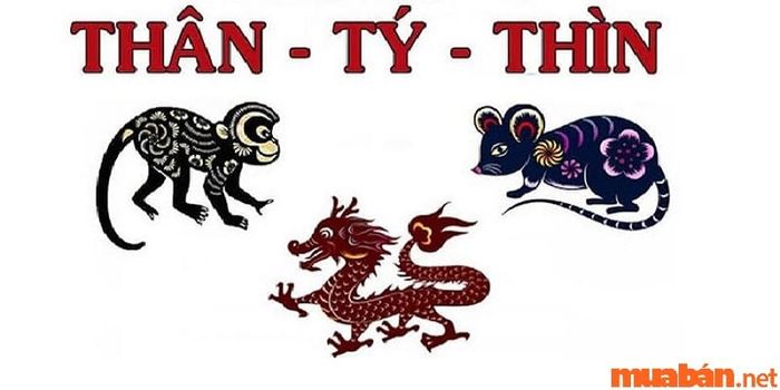 Một nhược điểm đáng chú ý của tam hợp tuổi Thìn là lòng tự trọng quá cao, điều này đôi khi khiến họ gặp khó khăn trong việc đối mặt với sự phê bình hay những tình huống không thuận lợi.