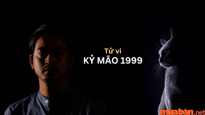 Khái quát về tử vi của người tuổi Kỷ Mão 1999
