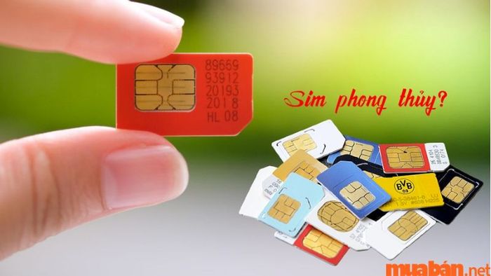 Sim phong thủy hợp mệnh