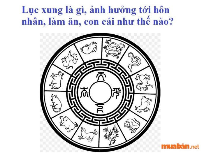 Ảnh hưởng của các cặp lục xung đến hôn nhân và đời sống