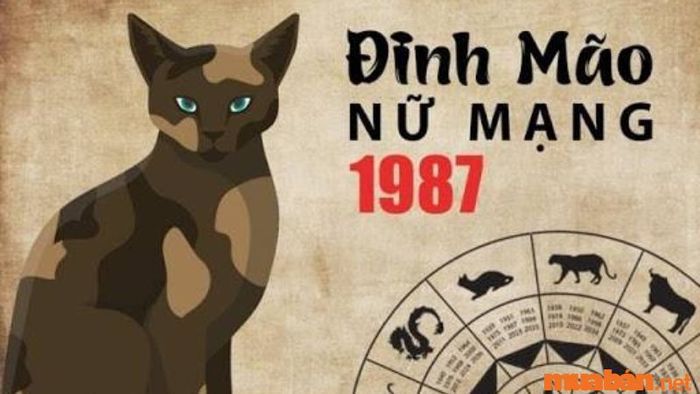 Nữ tuổi Đinh Mão nên chọn hướng nào phù hợp?