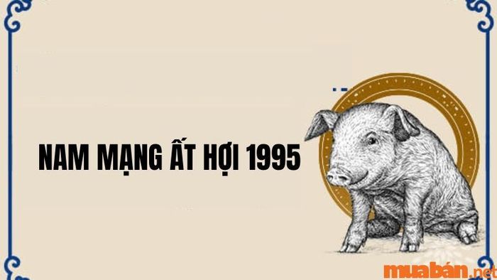Nam tuổi 1995