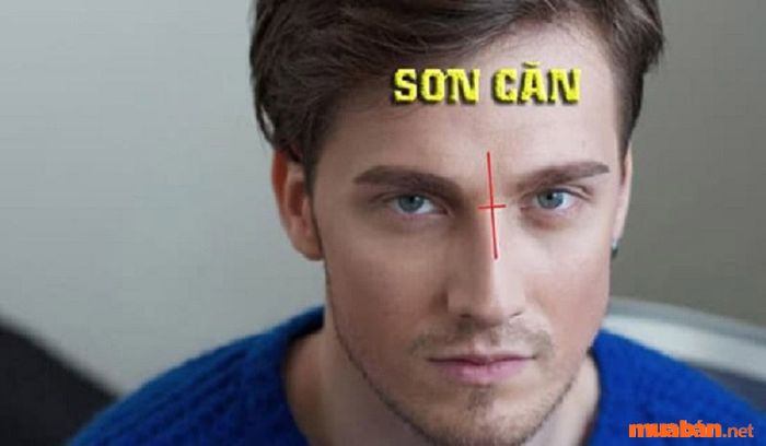 Sơn căn đứt đoạn biểu thị sinh mệnh không vững vàng