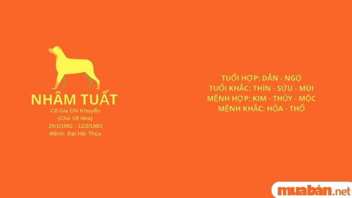 Thông tin cơ bản về người sinh năm Nhâm Tuất 1982