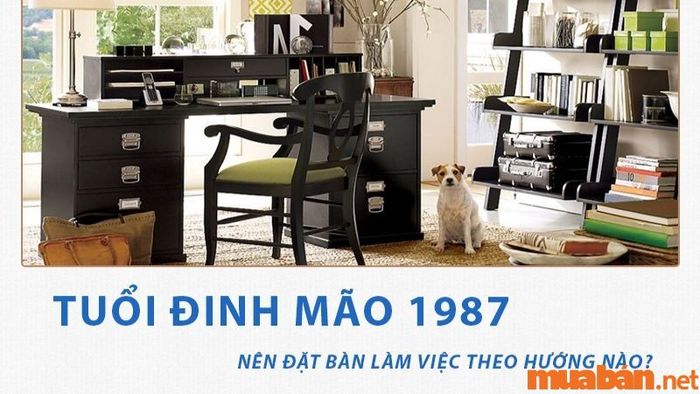 Hướng làm việc phù hợp cho gia chủ tuổi Đinh Mão giúp gia tăng tài lộc và may mắn.
