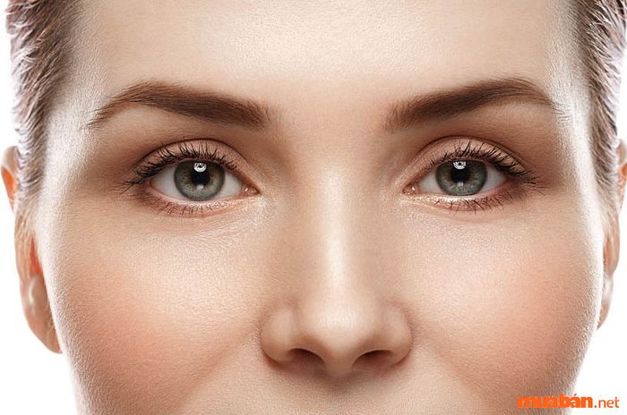 Sơn căn thẳng, đầy đặn chứng tỏ chủ nhân có phúc đức