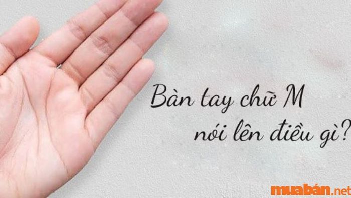 Khám Phá Vận Mệnh, Sự Nghiệp và Tình Duyên của Người Mang Bàn Tay Chữ M