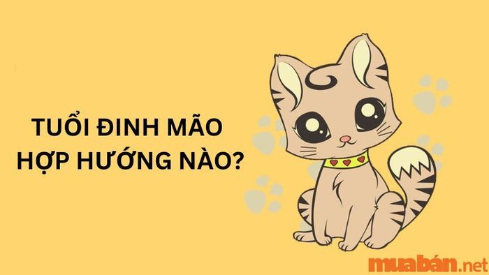 Hướng nào phù hợp với tuổi Đinh Mão khi xây nhà để mang lại tài vận tốt?