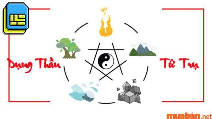Tứ trụ bản mệnh và cách chọn sim phù hợp