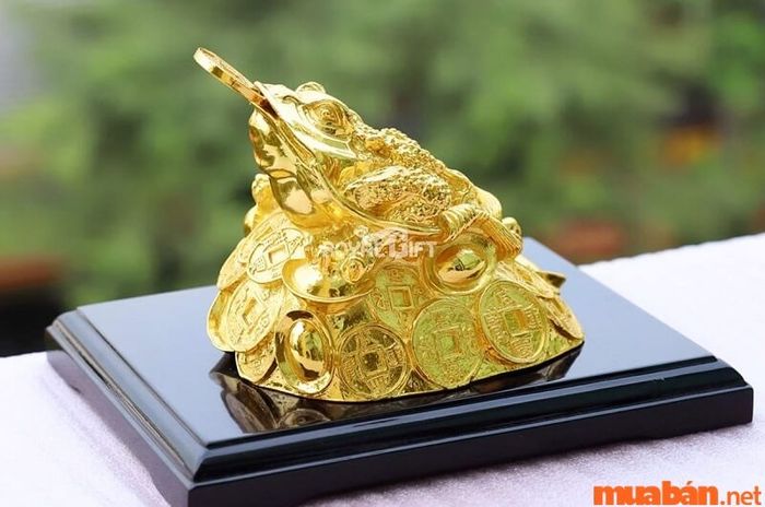 Đặt Thiềm Thừ lên nắp két sắt giúp gia tăng hiệu quả thu tài và hút lộc.