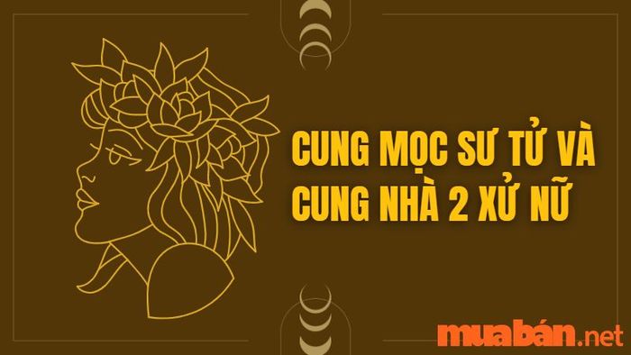 Cung Mọc Sư Tử và Cung Nhà 2 Xử Nữ