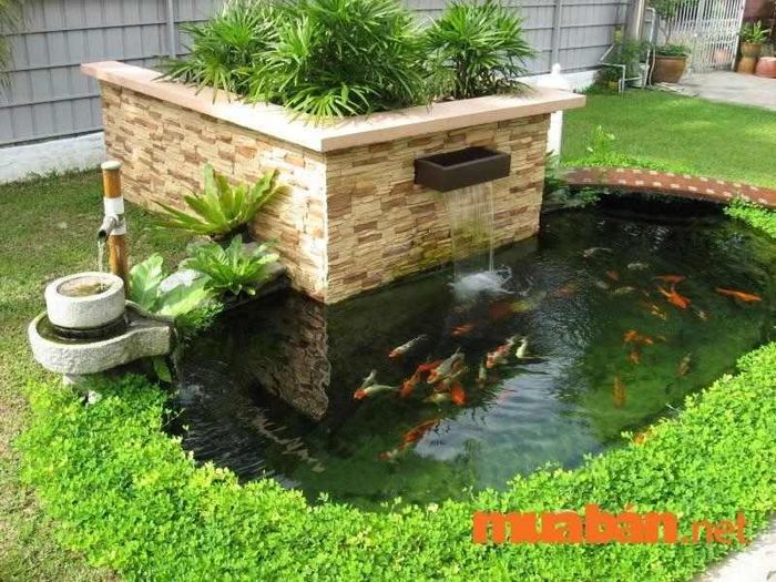 Phong thủy hồ cá trước cửa nhà