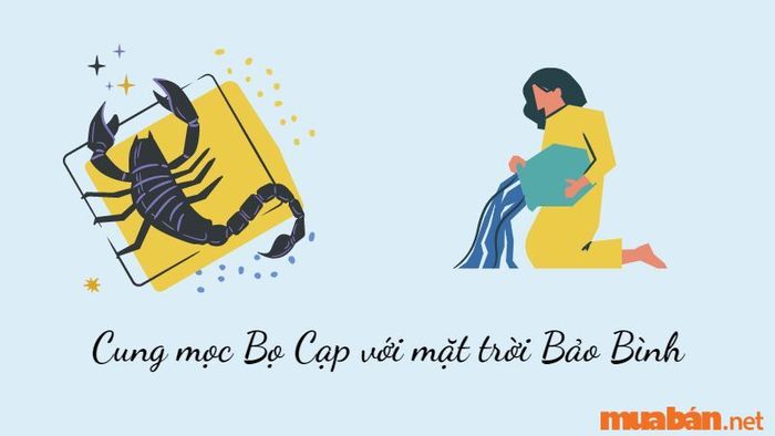 Cung mọc Bọ Cạp kết hợp với mặt trời Bảo Bình