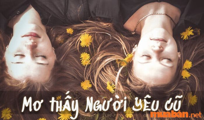 Ý nghĩa các giấc mơ