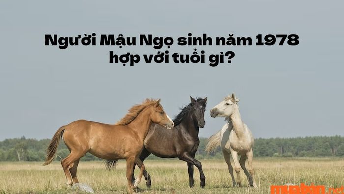 Mệnh của người sinh năm 1978 là gì?