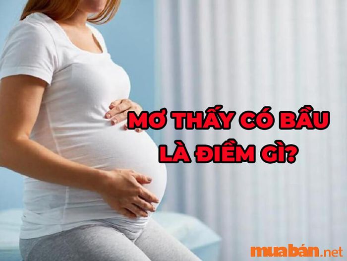 Ý nghĩa của các giấc mơ