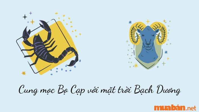 Cung Mọc Bọ Cạp kết hợp với mặt trời Bạch Dương