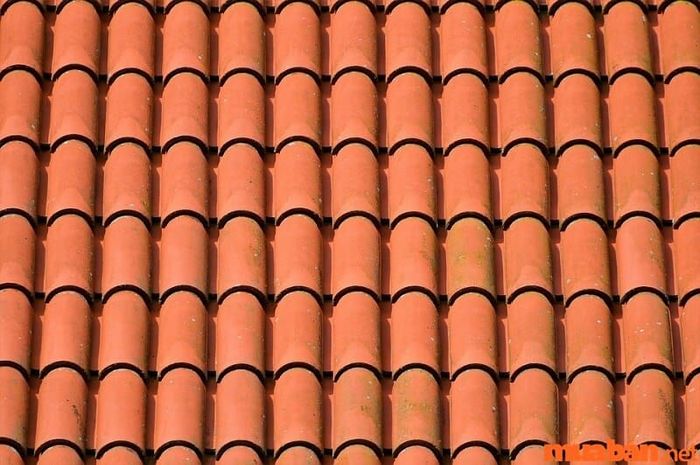 Ốc Thượng Thổ là gì? Đó là loại đất nằm trên mái nhà.