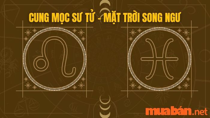 Cung mọc Sư Tử kết hợp với mặt trời Song Ngư