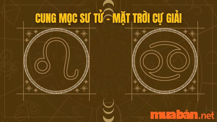 Cung mọc Sư Tử kết hợp với mặt trời Cự Giải