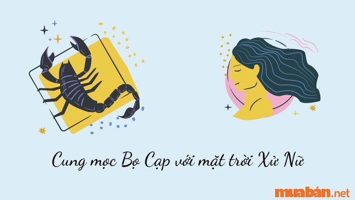 Cung mọc Bọ Cạp với mặt trời Xử Nữ