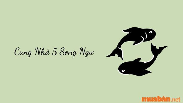 Cung Nhà 5 Song Ngư