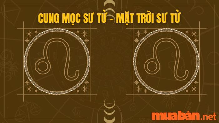 Cung mọc Sư Tử kết hợp với mặt trời Sư Tử