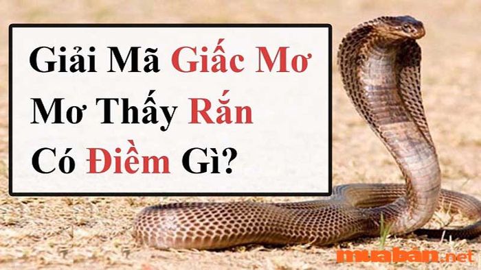 Ý nghĩa của các giấc mơ