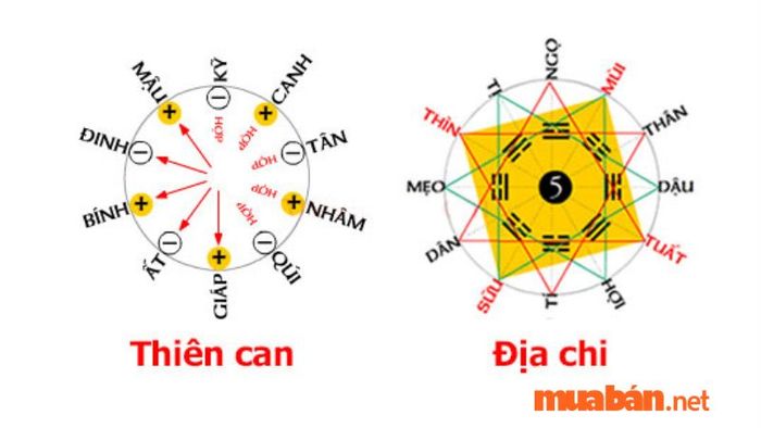 Biển số xe hợp tuổi Nhâm Tuất