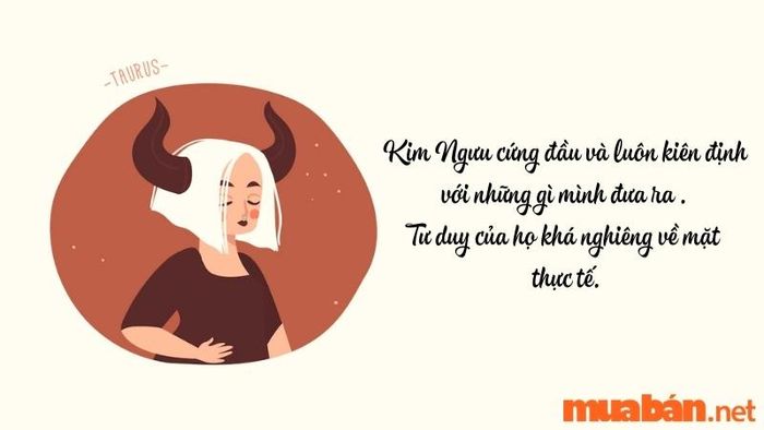 Kim Ngưu và Thiên Bình: Sự Hòa Hợp và Khác Biệt