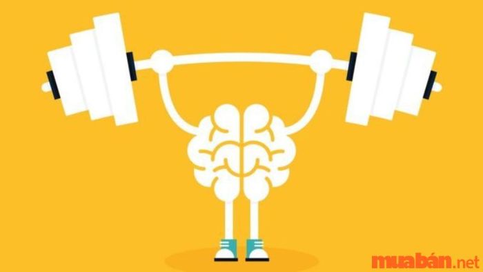 Rèn luyện trí tuệ và khả năng bản thân