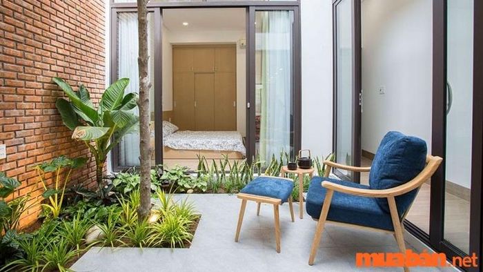 Cây lưỡi hổ hợp mệnh gì?