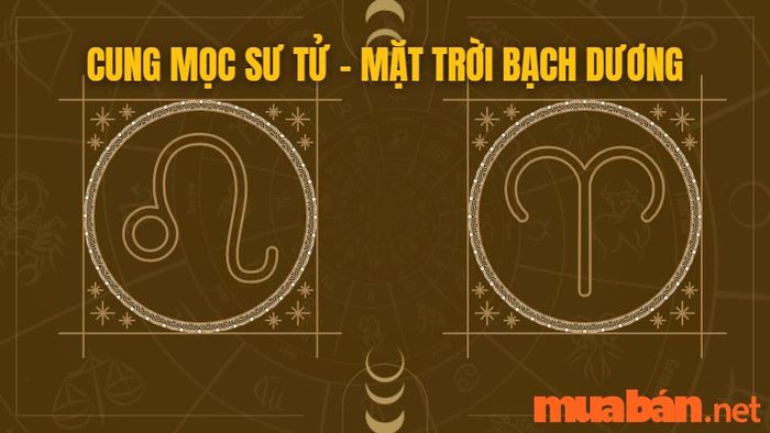 Cung Mọc Sư Tử kết hợp với mặt trời Bạch Dương
