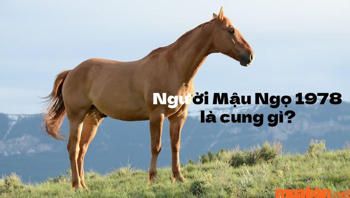 Mệnh của người sinh năm 1978 là gì?