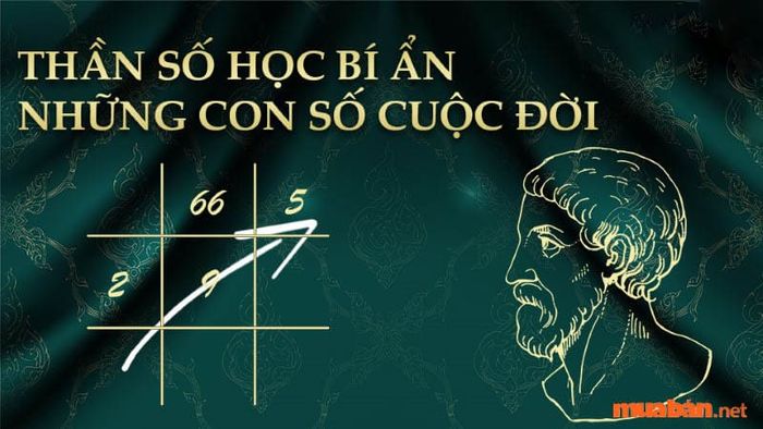 Ý nghĩa số 35 trong thần số học rất tích cực và đầy triển vọng