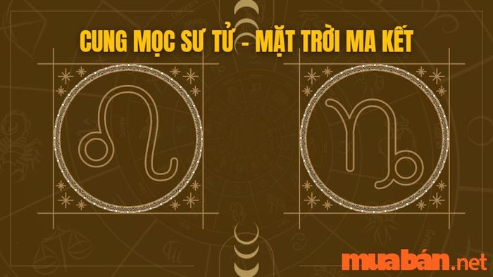 Cung mọc Sư Tử kết hợp với mặt trời Ma Kết