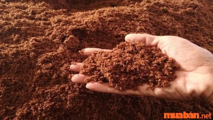 5 loại đất linh là gì?