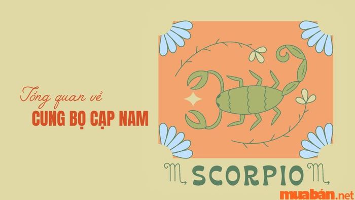 Nam Bọ Cạp hợp với cung nữ nào?