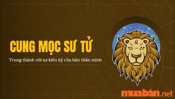 Cung Mọc Sư Tử có đặc điểm gì nổi bật?
