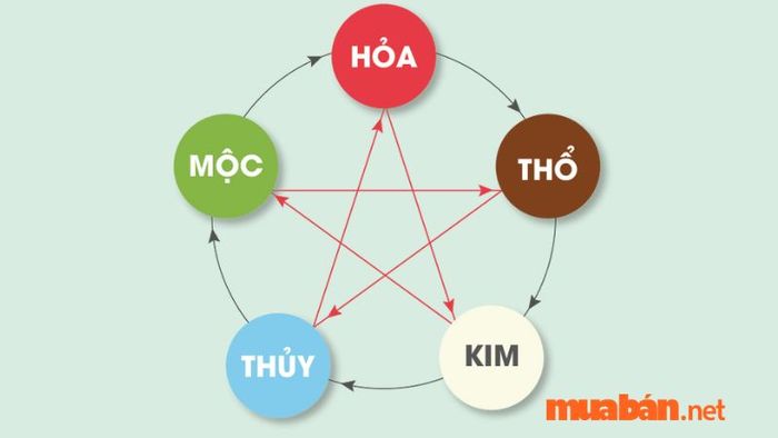 biển số xe hợp tuổi Nhâm Tuất