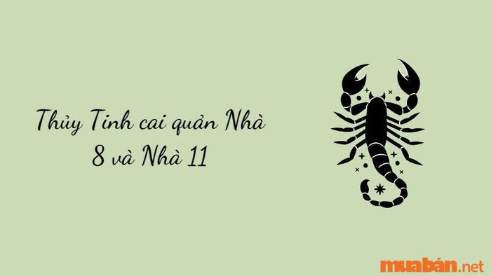 Thủy Tinh cai quản Nhà 8 và Nhà 11