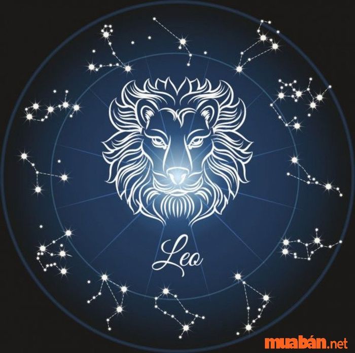 cung khắc là gì