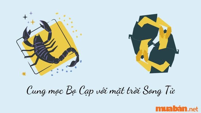 Cung Mọc Bọ Cạp kết hợp với mặt trời Song Tử