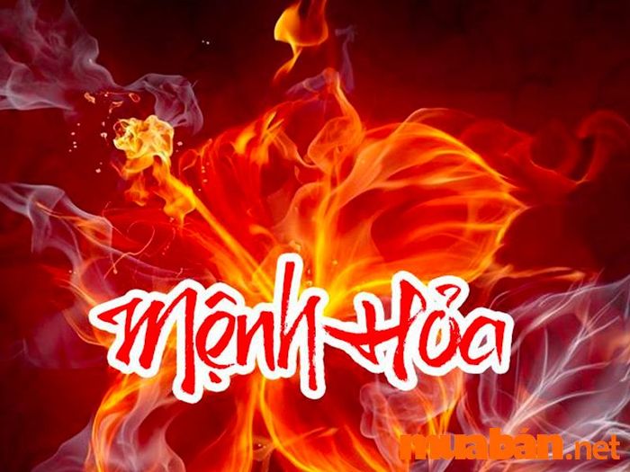 Cây phong thuỷ cho người mệnh Hoả