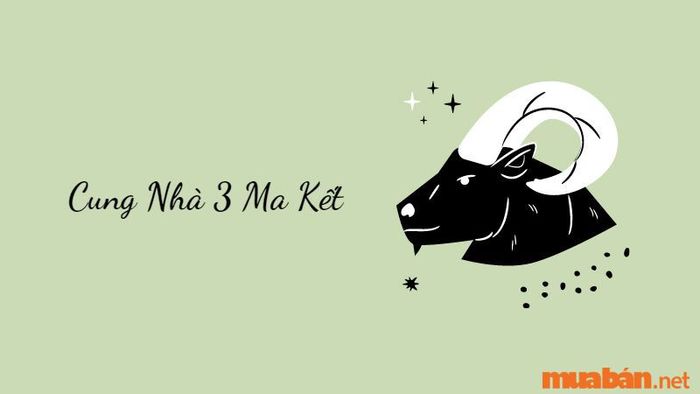 Cung Nhà 3 Ma Kết