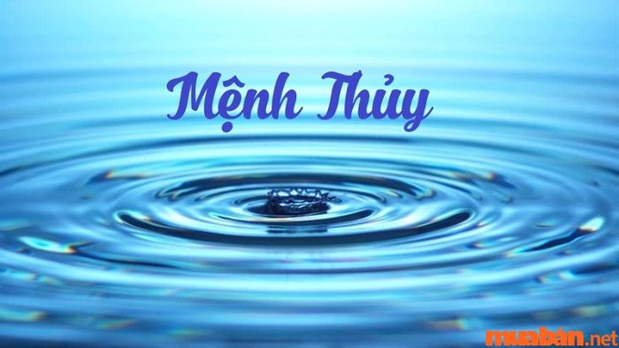 Người mệnh Thủy thường có tính cách hiền hòa, dễ gần